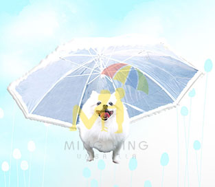Umbrella Design for Dog
